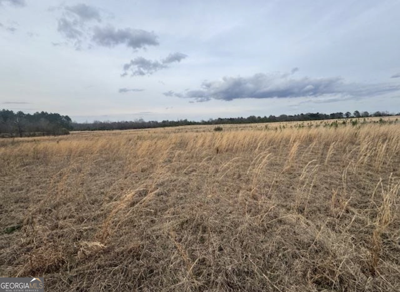 0 Mark Wood Rd (lot 4) Dexter, GA 31019 - Photo 4 of 5