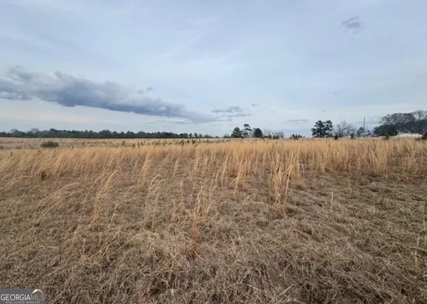 $59,900 | 0 Mark Wood Rd (lot 4), Dexter, GA 31019