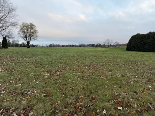 a view of yard with an trees