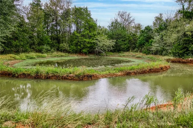 $1,400,000 | 264 Farm To Market 833, Streetman, TX 75859