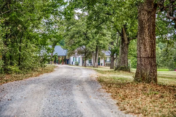 a view of a yard with plants and trees