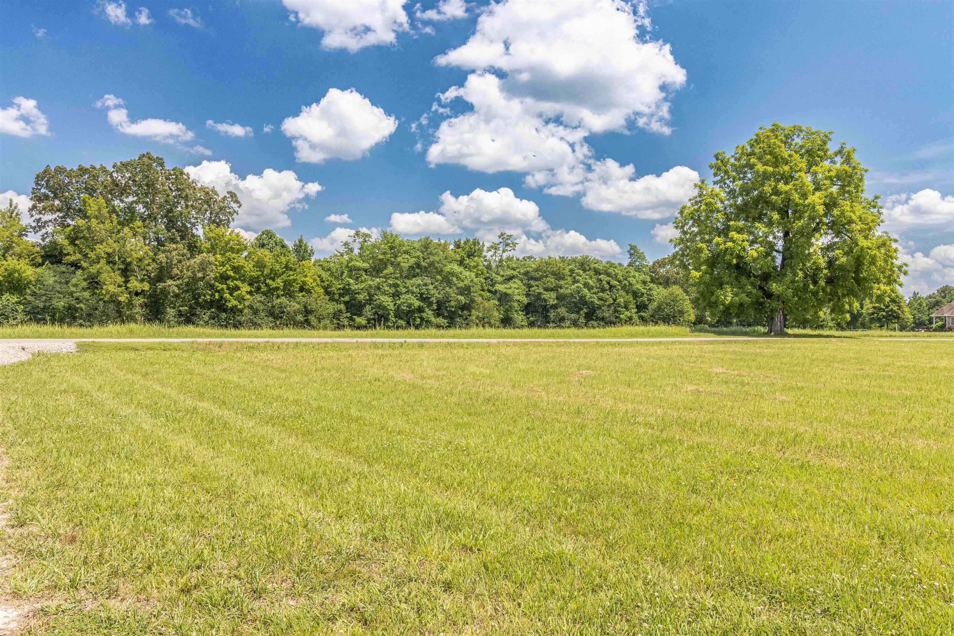700 Gann Road Selmer, TN 38375 - Photo 35 of 38 Gallery Image 35