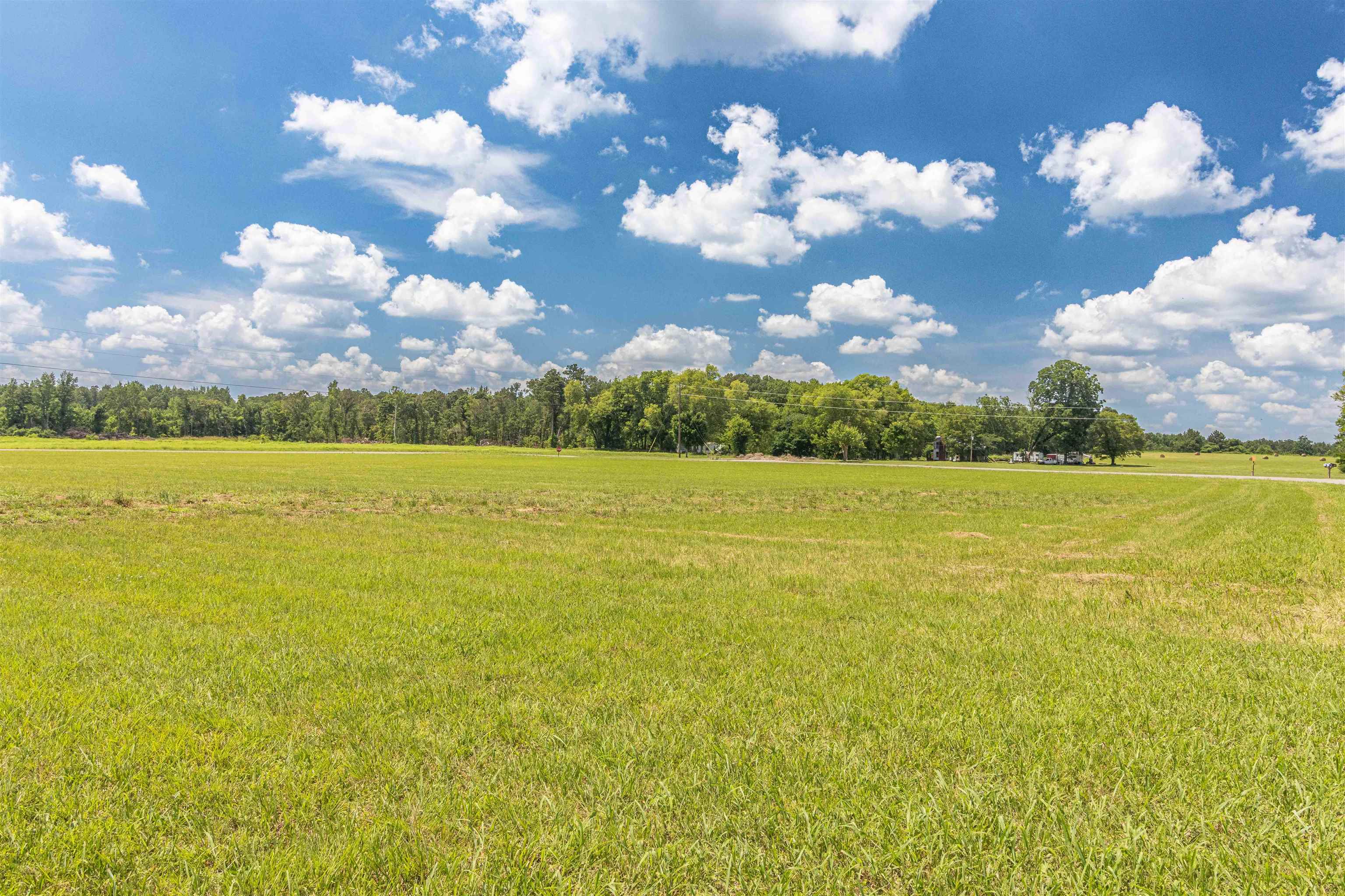 700 Gann Road Selmer, TN 38375 - Photo 4 of 38 Gallery Image 4