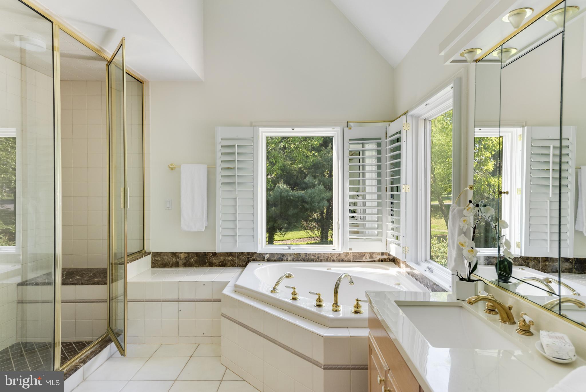 1500 Severncroft Road Annapolis, MD 21409 - Photo 16 of 29 Jacuzzi tub and Shower