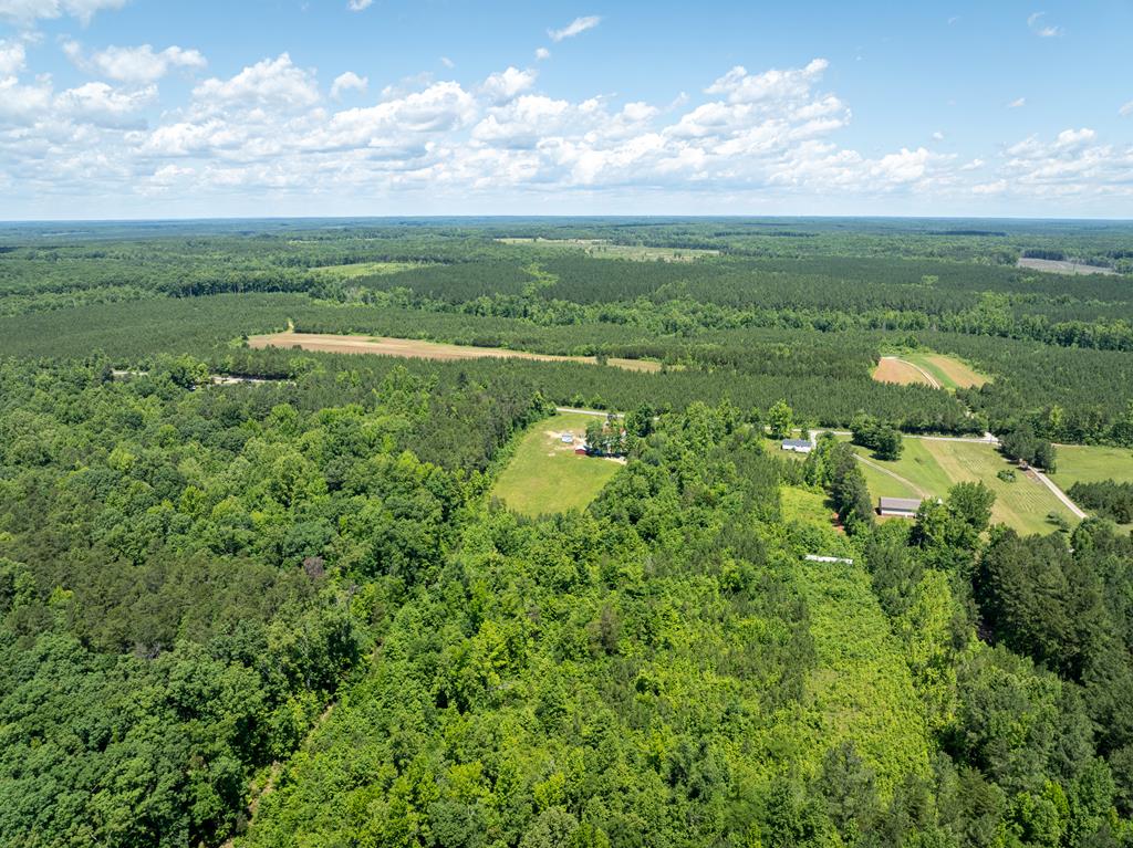 Plank Road, Unit 18 Kenbridge, VA 23944 - Photo 1 of 14 Gallery Image 1