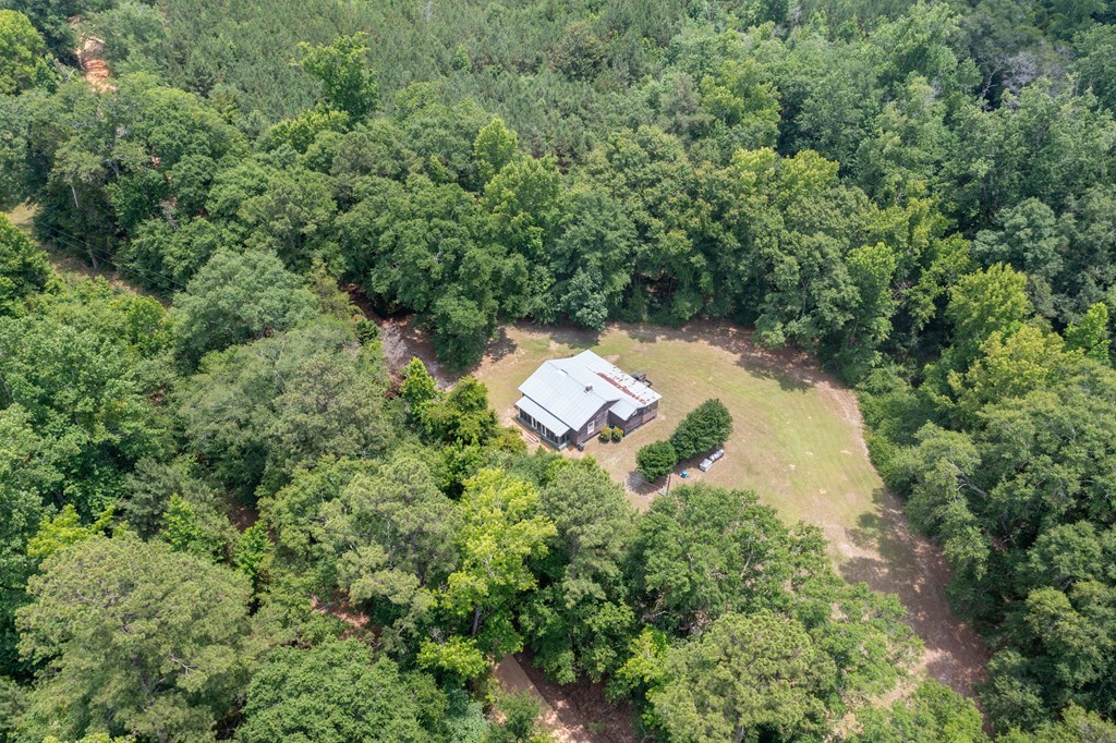 3 Comers Pond Road Pittsview, AL 36871 - Photo 50 of 51
