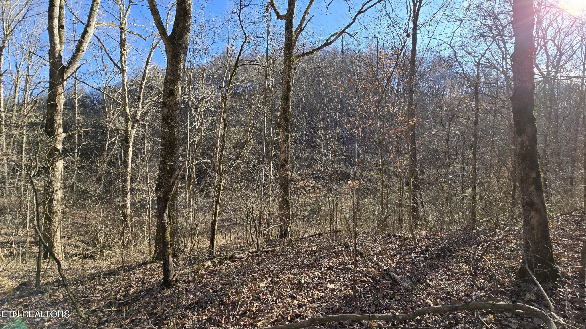 0 Red Ankle Road Sweetwater, TN 37874 - Photo 17 of 32 Gallery Image 17