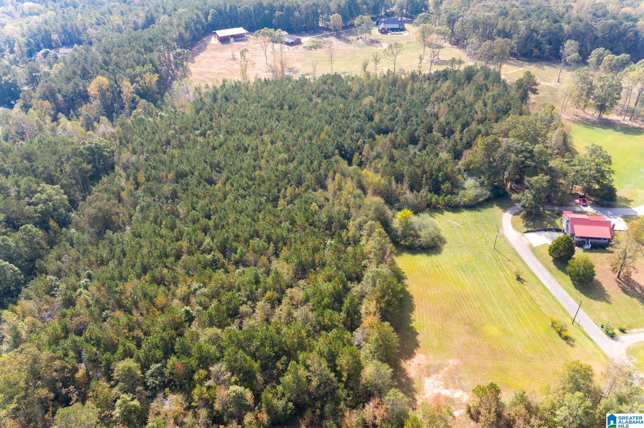 0 Olde S Spur McCalla, AL 35111 - Photo 1 of 25