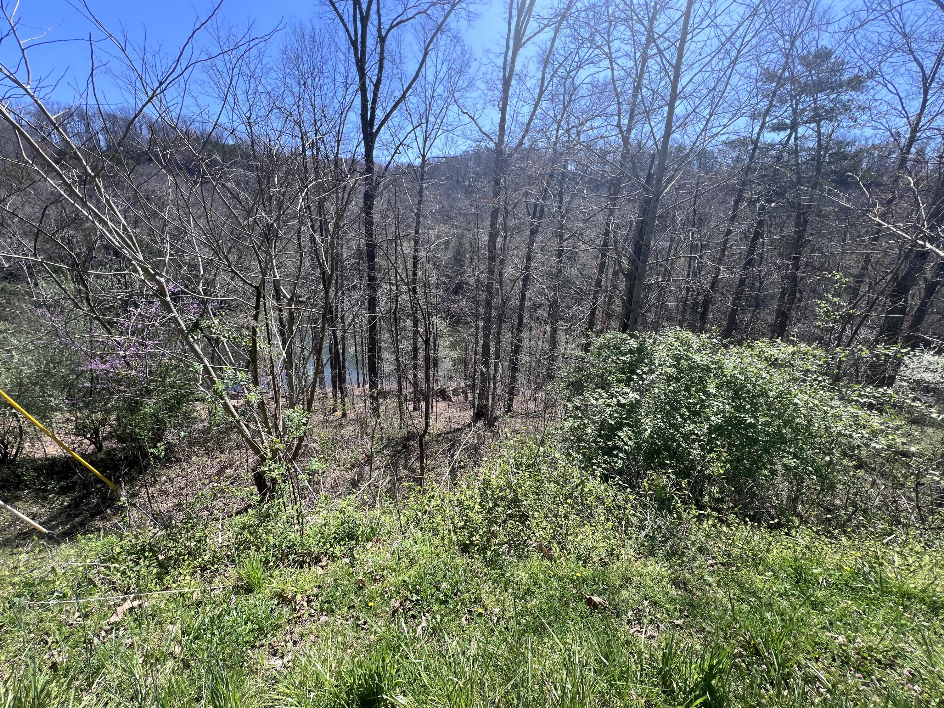 9911 Cliffs Edge Road East Bernstadt, KY 40729 - Photo 4 of 12 IMG_1711