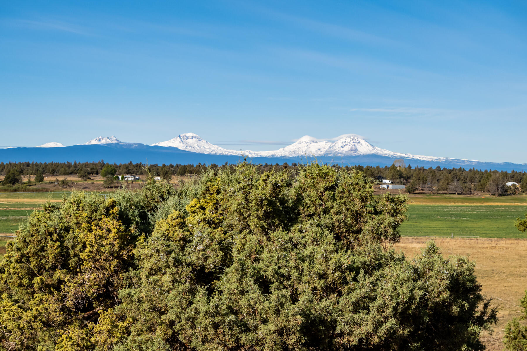 14427 Southwest Alfalfa Road, Unit 10 Powell Butte, OR 97753 - Photo 16 of 78 JH5_9255