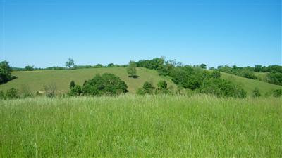 3 Scrubb Grass Road Carlisle, KY 40311 - Photo 1 of 2 Photo 1
