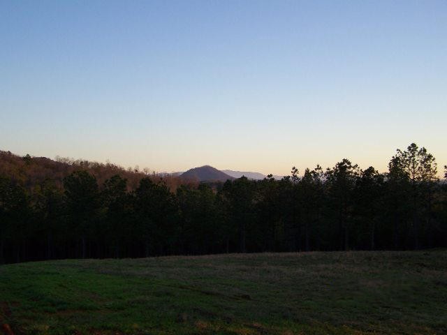 18 Welcome Valley Road Benton, TN 37307 - Photo 4 of 8 a view of a backyard