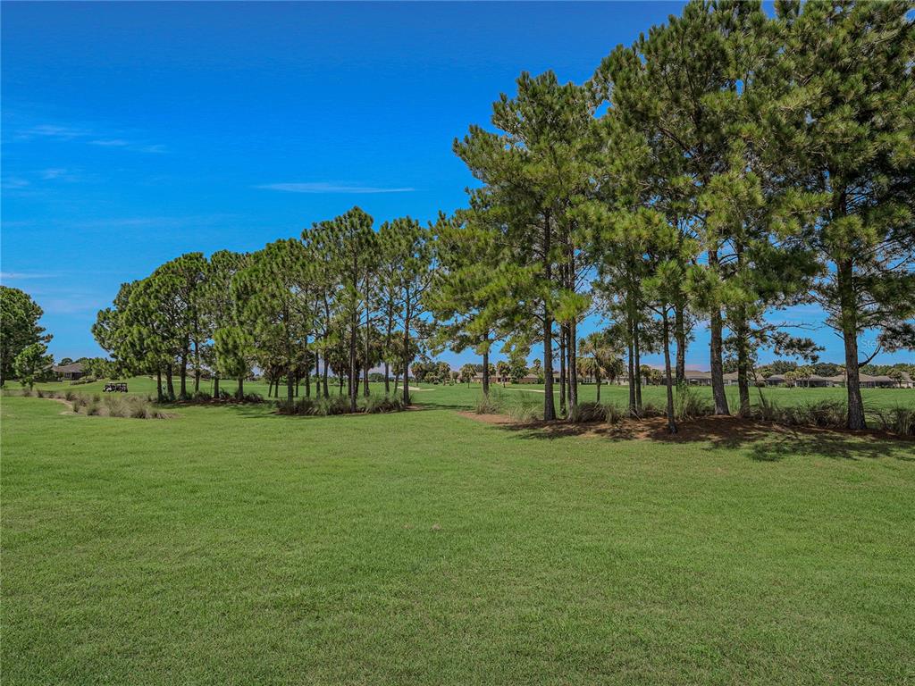 9527 Southwest 70th Loop Ocala, FL 34481 - Photo 58 of 62 Gallery Image 58
