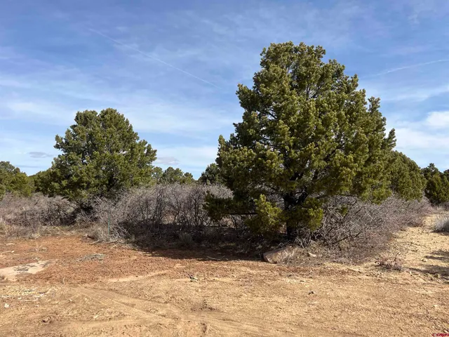 a view of a yard covered with snow in front of house