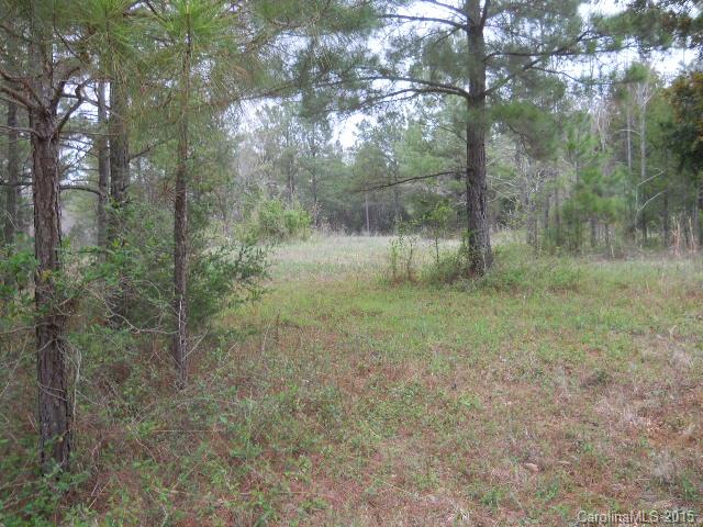 Lot 4 Giles Road McConnells, SC 29726 - Photo 1 of 1 Gallery Image 1
