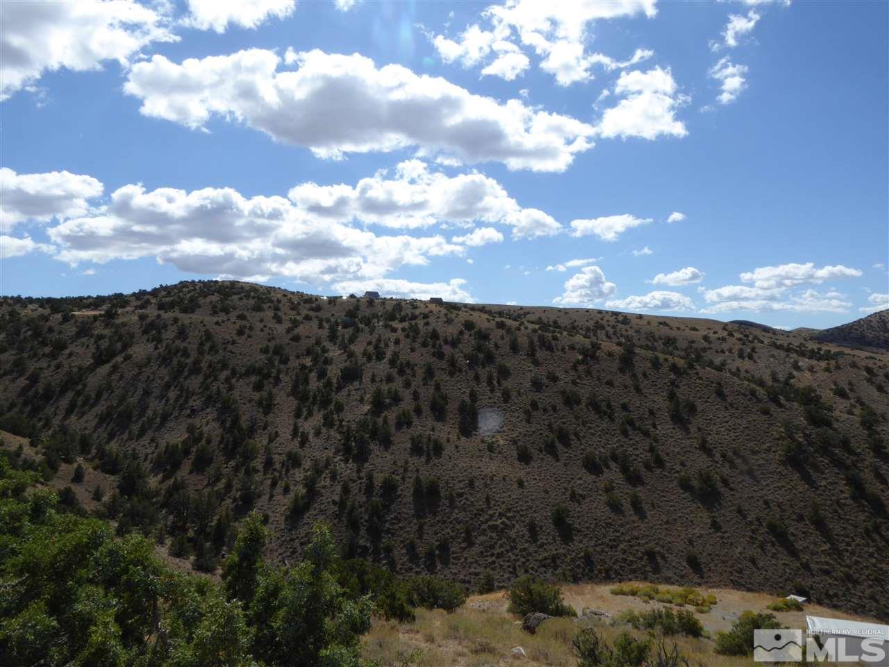 130 Curnow Canyon Road Reno, NV 89510 - Photo 12 of 21 a view of a sky