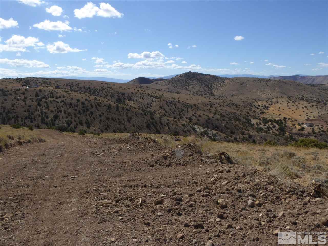 130 Curnow Canyon Road Reno, NV 89510 - Photo 8 of 21 a view of a dry yard with mountains in the background