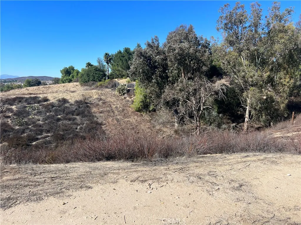 0 Buenos Temecula, CA 92591 - Photo 5 of 8 a view of a dry yard with trees