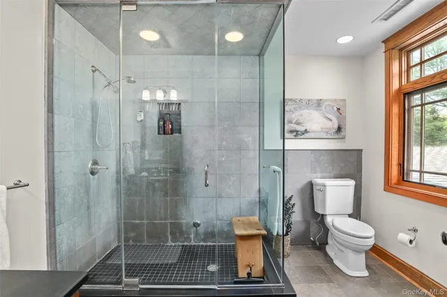 a bathroom with a toilet and shower