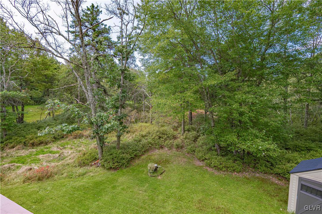 1038 Clover Road South Long Pond, PA 18334 - Photo 37 of 39 Backyard