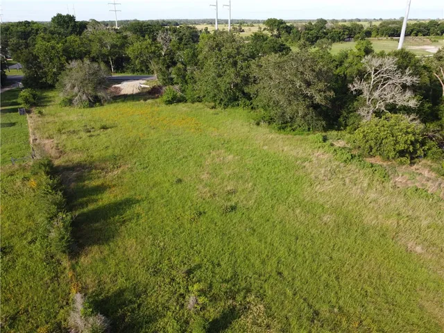 a view of a lush green forest with lots of trees