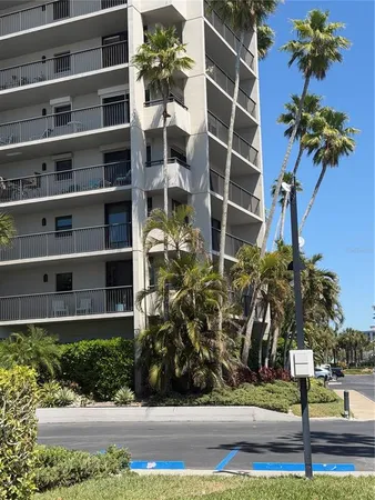 a view of a garden with a potted plant