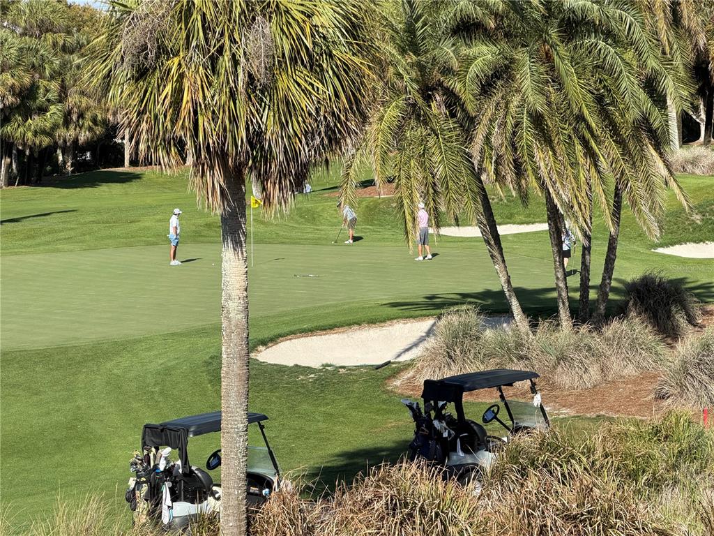 50 Coe Road, Unit 322 Belleair, FL 33756 - Photo 18 of 22 a view of a lake with a yard