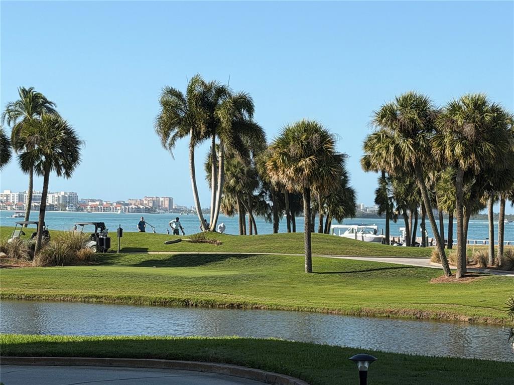 50 Coe Road, Unit 322 Belleair, FL 33756 - Photo 21 of 22 a front view of a house with a yard