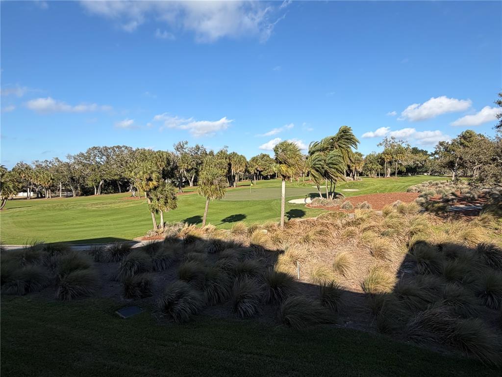 50 Coe Road, Unit 322 Belleair, FL 33756 - Photo 4 of 15