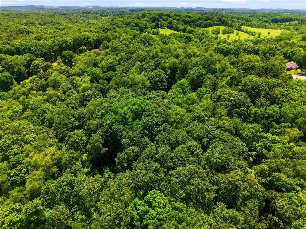 6110 Saltsburg Road Murrysville, PA 15668 - Photo 42 of 47 a view of a lush green forest with a houses