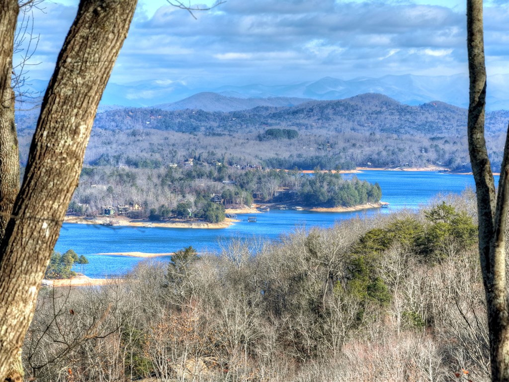 427 Green Ridge Road Blue Ridge, GA 30513 - Photo 2 of 53 a view of a yard with an outdoor space