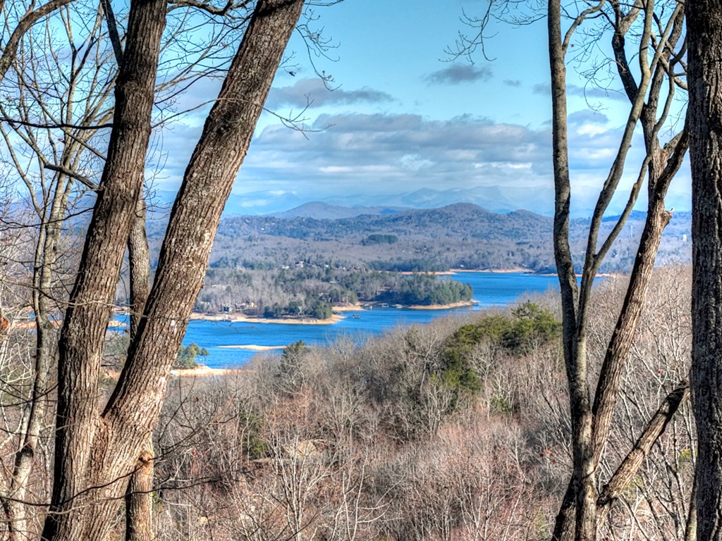 427 Green Ridge Road Blue Ridge, GA 30513 - Photo 40 of 53 a view of a yard with an trees
