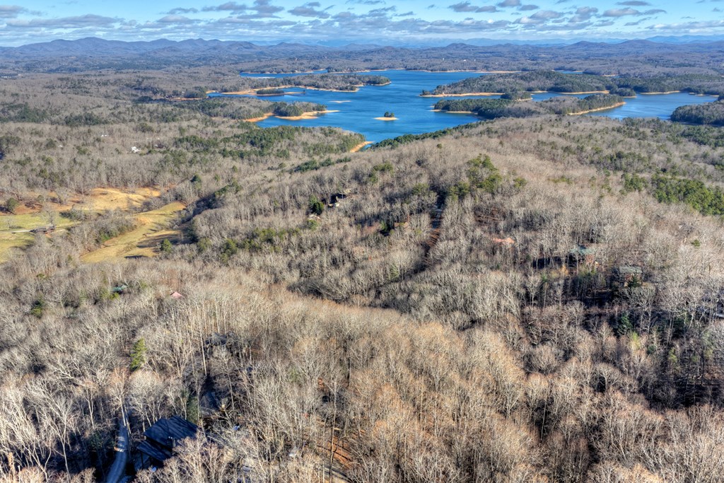 427 Green Ridge Road Blue Ridge, GA 30513 - Photo 43 of 53 a view of a dry field with trees