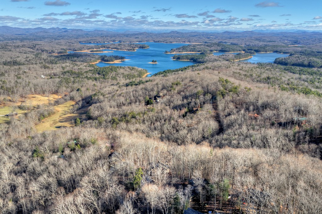427 Green Ridge Road Blue Ridge, GA 30513 - Photo 44 of 53 a view of a dry yard with trees