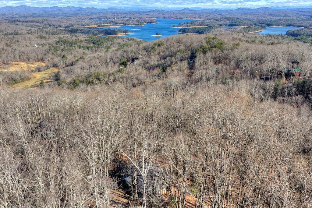 427 Green Ridge Road Blue Ridge, GA 30513 - Photo 45 of 53 a view of city and mountain