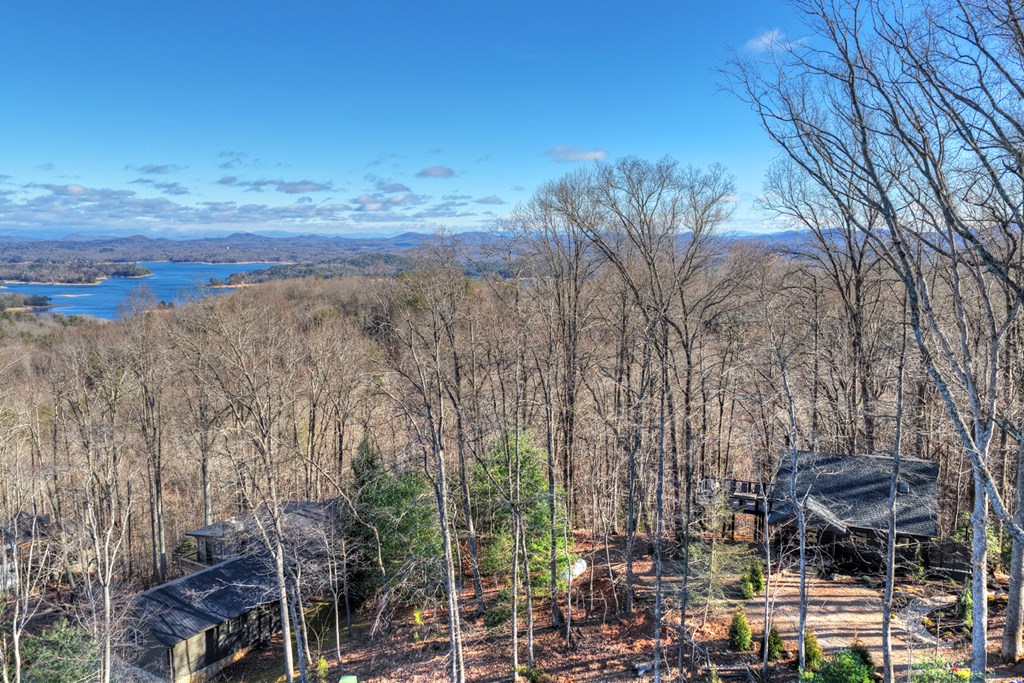 427 Green Ridge Road Blue Ridge, GA 30513 - Photo 46 of 53 a view of a yard with wooden fence
