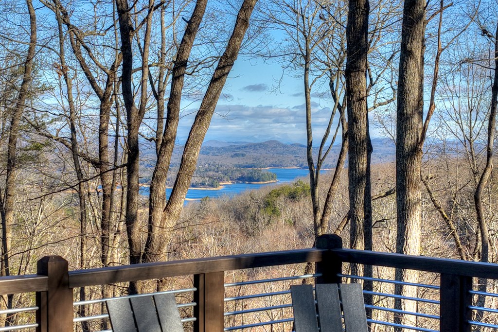 427 Green Ridge Road Blue Ridge, GA 30513 - Photo 5 of 53