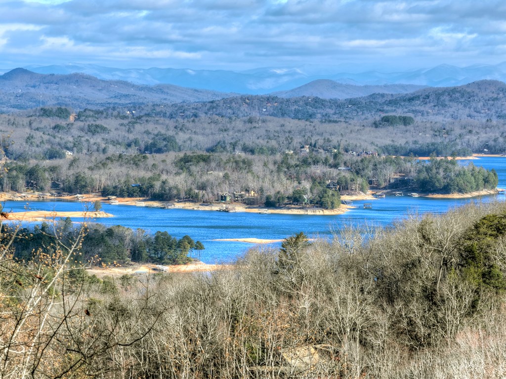 427 Green Ridge Road Blue Ridge, GA 30513 - Photo 8 of 53 a view of outdoor space and yard