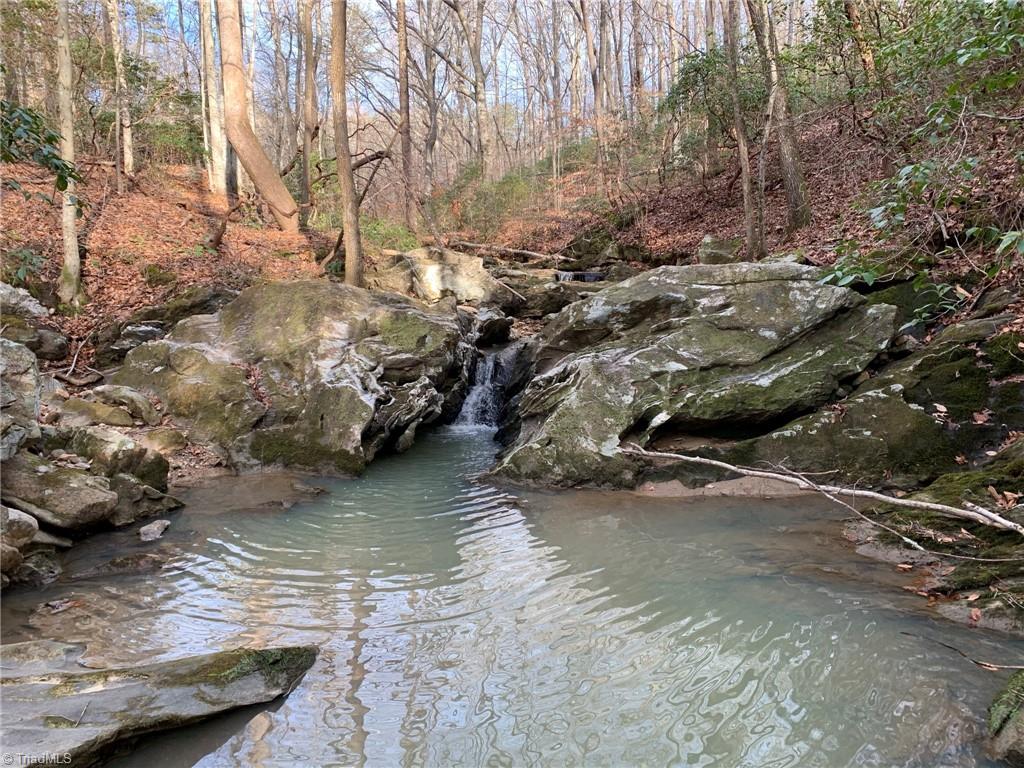 A Sheppard Mill Road Danbury, NC 27016 - Photo 1 of 44 Gallery Image 1