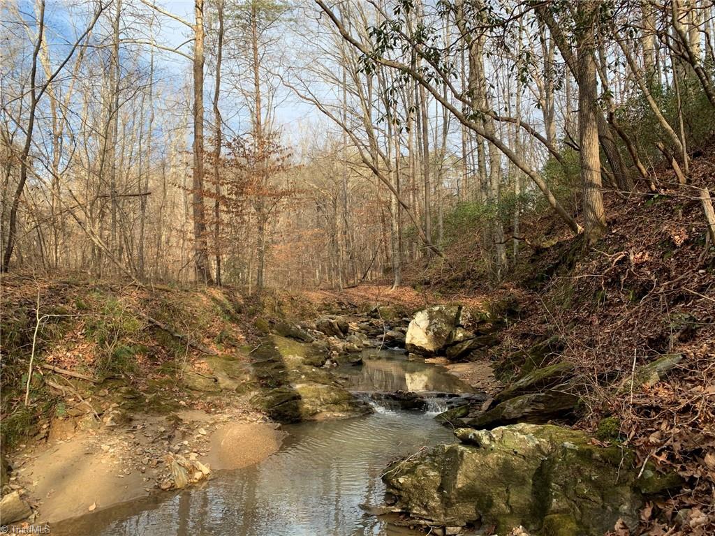A Sheppard Mill Road Danbury, NC 27016 - Photo 11 of 44 Gallery Image 11