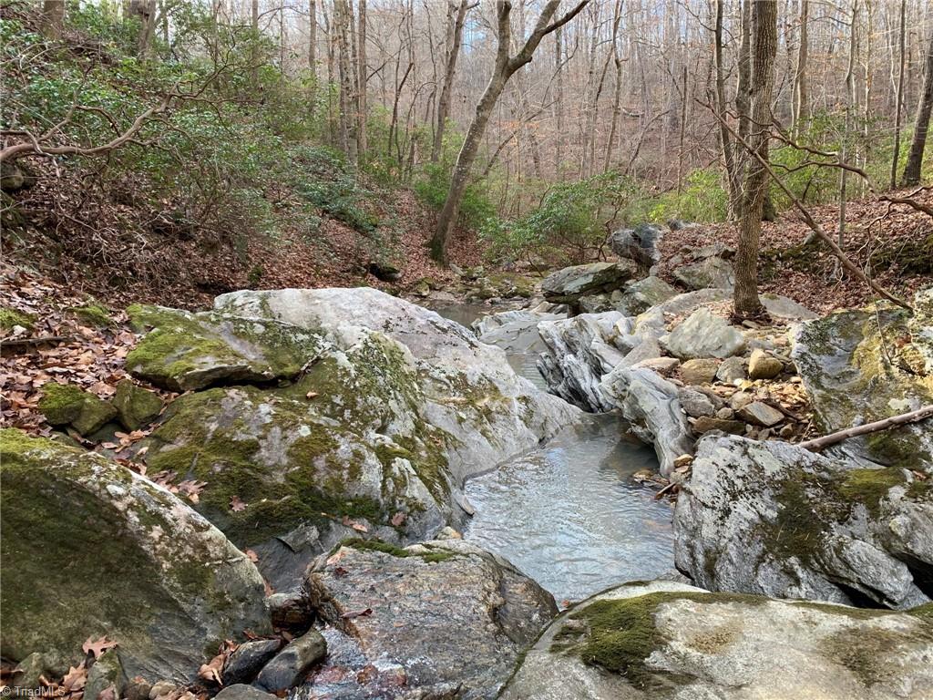 A Sheppard Mill Road Danbury, NC 27016 - Photo 12 of 44 Gallery Image 12