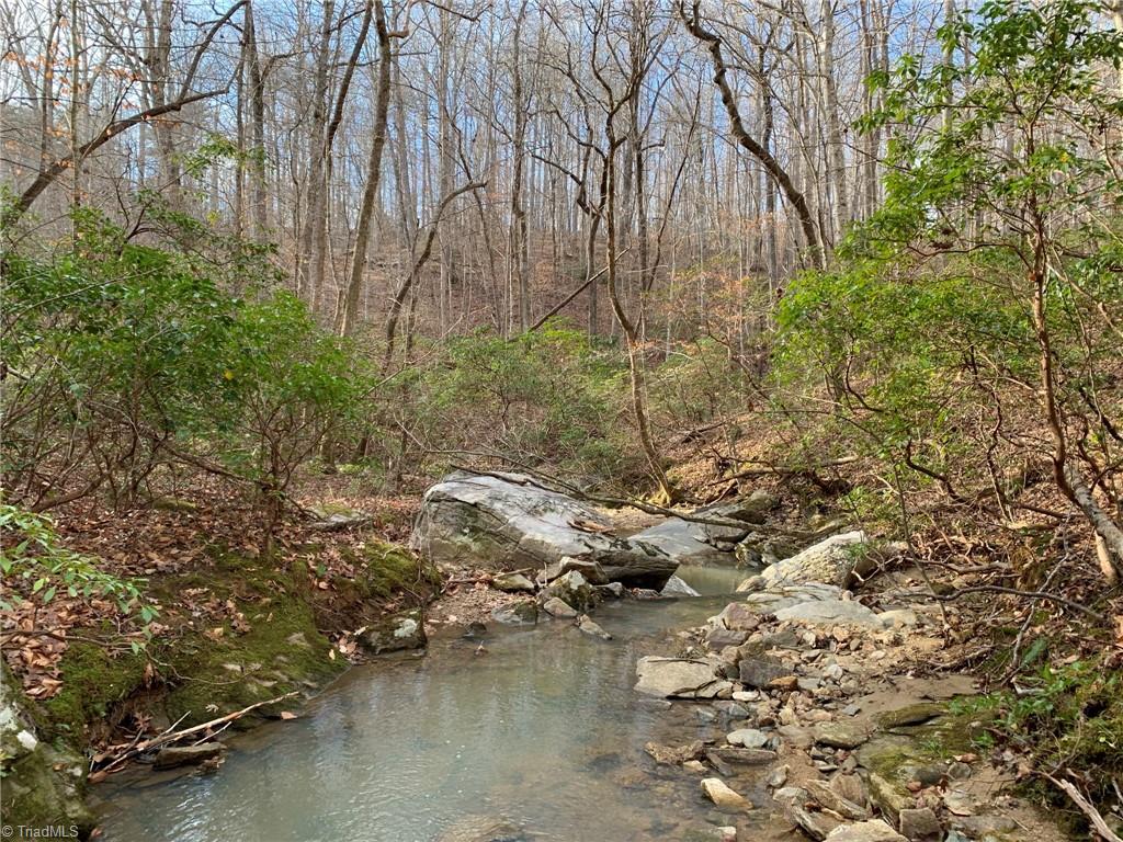 A Sheppard Mill Road Danbury, NC 27016 - Photo 13 of 44 Gallery Image 13