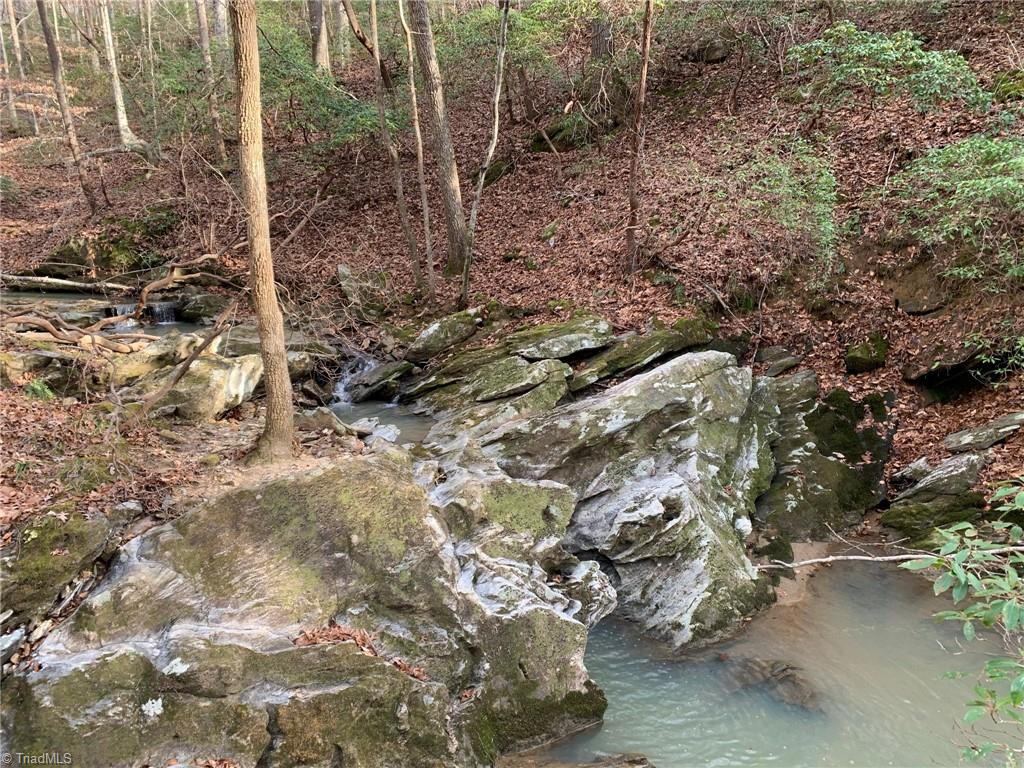 A Sheppard Mill Road Danbury, NC 27016 - Photo 14 of 44 Gallery Image 14