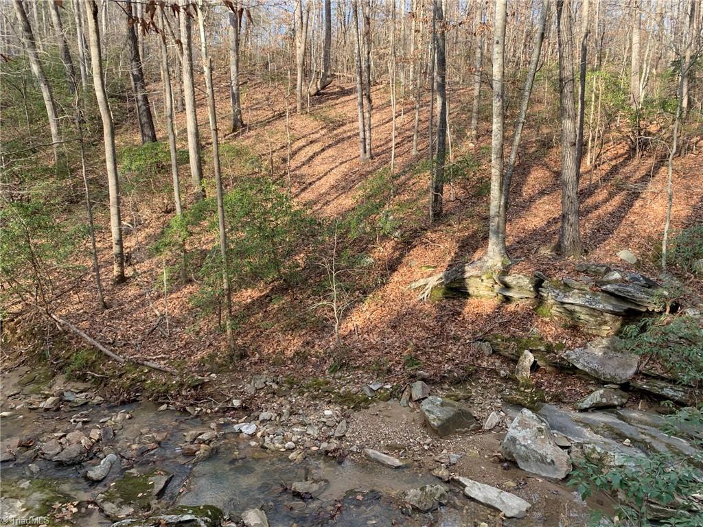 A Sheppard Mill Road Danbury, NC 27016 - Photo 15 of 44 Gallery Image 15