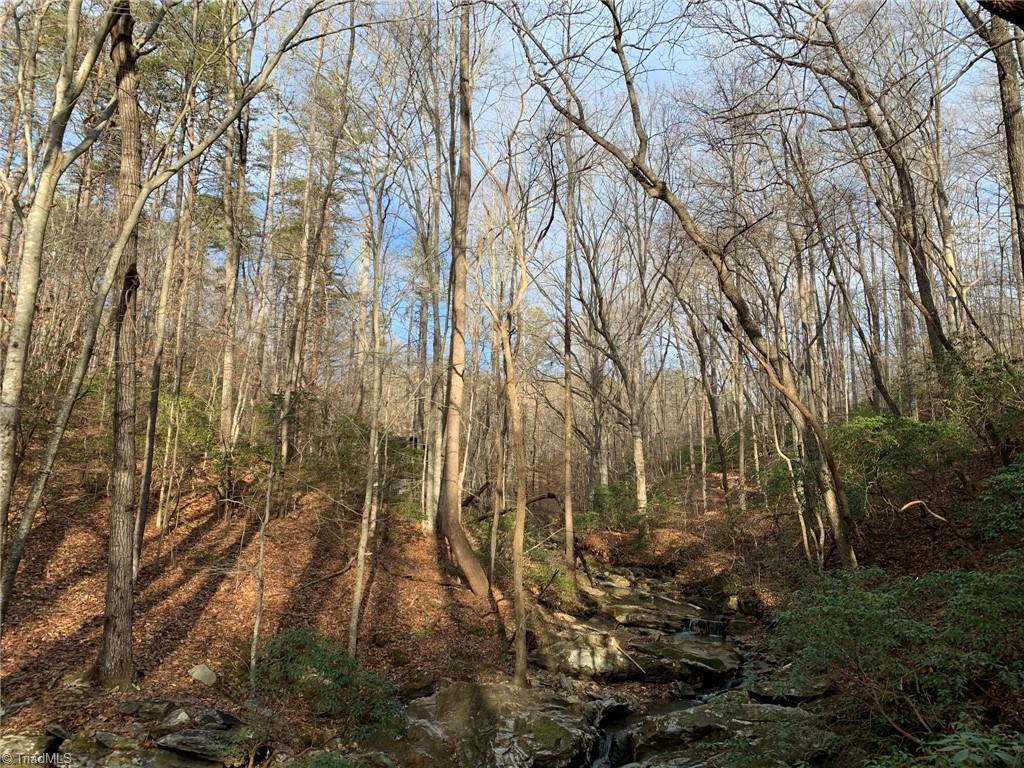 A Sheppard Mill Road Danbury, NC 27016 - Photo 16 of 44 Gallery Image 16