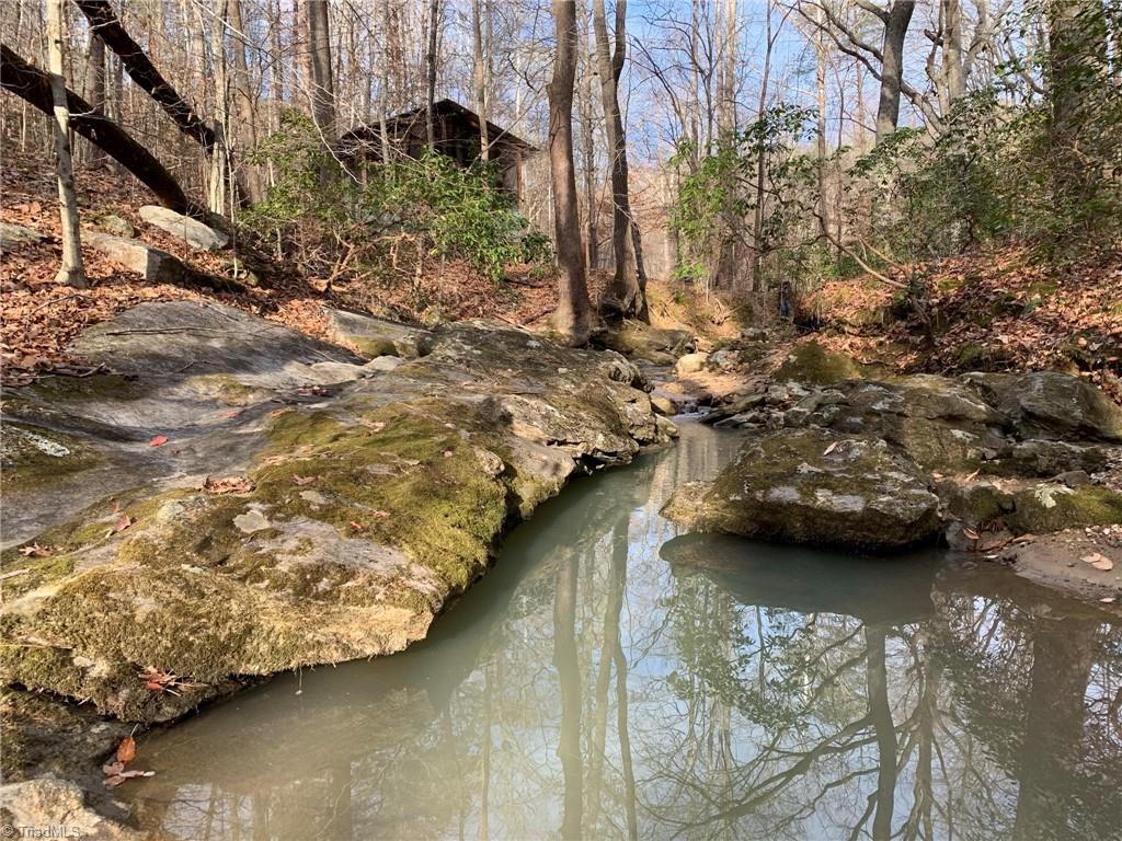A Sheppard Mill Road Danbury, NC 27016 - Photo 3 of 44 Gallery Image 3