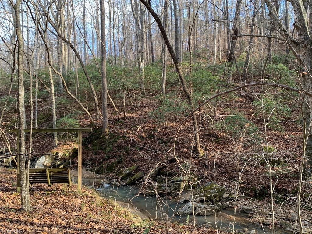 A Sheppard Mill Road Danbury, NC 27016 - Photo 30 of 44 Gallery Image 30