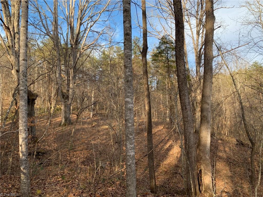 A Sheppard Mill Road Danbury, NC 27016 - Photo 31 of 44 Gallery Image 31