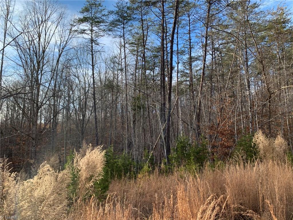 A Sheppard Mill Road Danbury, NC 27016 - Photo 34 of 44 Gallery Image 34