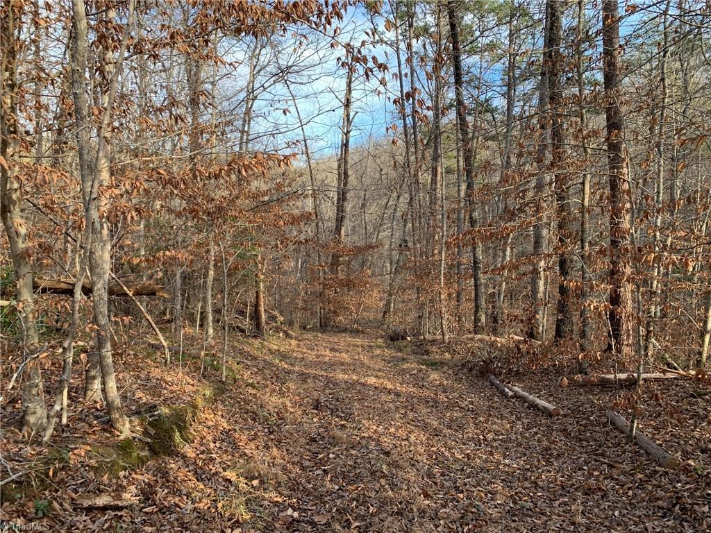 A Sheppard Mill Road Danbury, NC 27016 - Photo 40 of 44 Gallery Image 40